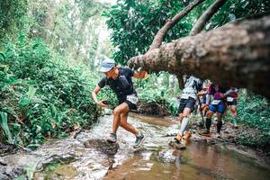 BIB: 
                            <button type="button" onclick="openModal(25375509)" class="btn btn-primary btn-sm float-right btn-popup" data-toggle="modal" data-target=".modal-high-quality">
                        <i class="fas fa-shopping-cart"></i> Add to Cart
                    </button>
                                            <button type="button" onclick="isThisMe(25375509, true)" class="btn btn-success btn-sm float-right btn-popup btn-isme hidden" data-toggle="tooltip" data-placement="bottom" title="นี่คือรูปของคุณใช่ไหม คลิกที่นี่เพื่อเอาเข้าอัลบั้ม">
                        <i class="fas fa-plus"></i> Add to album
                    </button>
                    <button type="button" onclick="isThisMe(25375509, false)" class="btn btn-warning btn-sm float-right btn-popup btn-isnotme hidden">
                        <i class="fas fa-ban"></i> Remove from album
                    </button>